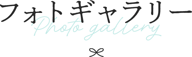 フォトギャラリー
